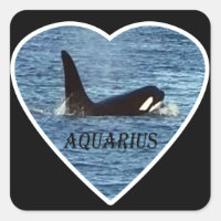 Whale "Aquarius" Orca