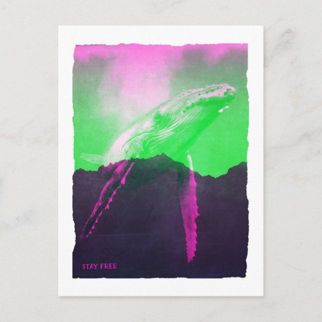 Whale Bleibe kostenlos Postkarte (Vorderseite)