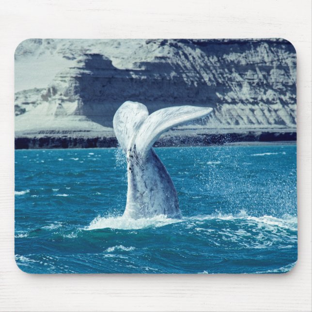 Whale calf tail - Argentina Mousepad (Vorne)