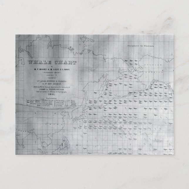 Whale Chart of the North Pacific, 1851 Postkarte (Vorderseite)