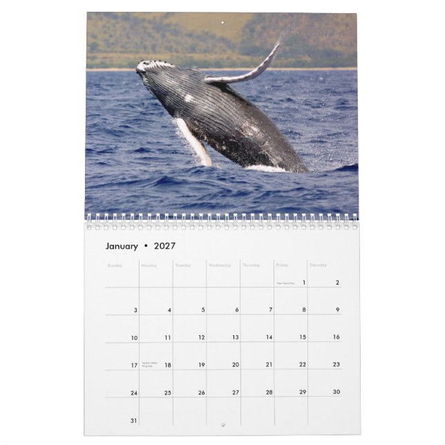 Whale Fotografy Calendar Kalender (Jan 2027)