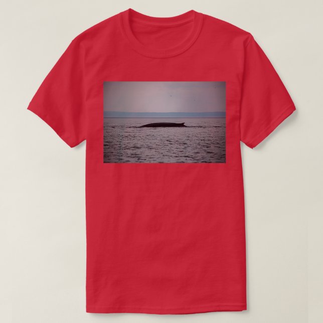 Whale in einem Regenwetter T-Shirt (Design vorne)