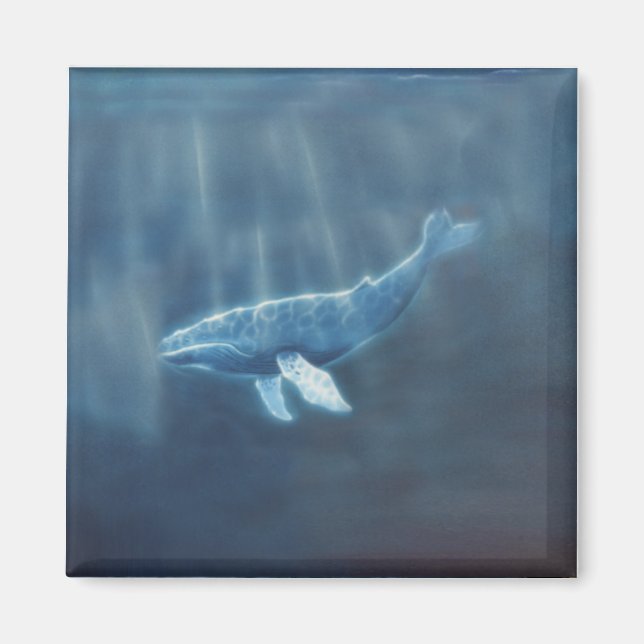 Whale Magnet (Vorne)