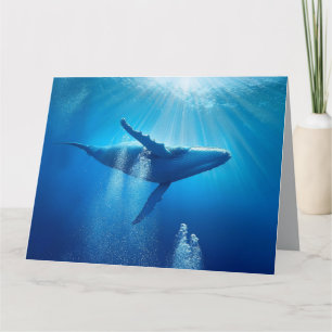 Whale Ozeane Natur Blaues Wasser Karte