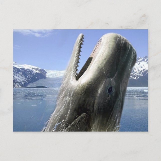 Whale Postkarte (Vorderseite)