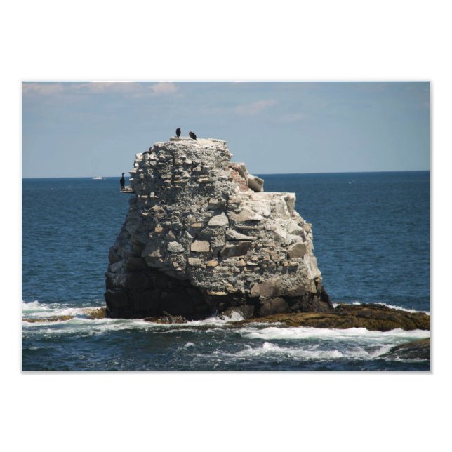 Whale Rock Fotodruck (Vorne)