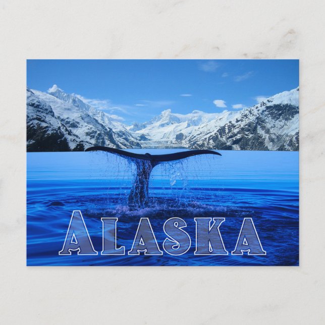 Whale Schwanz Alaska - Postkarte (Vorderseite)