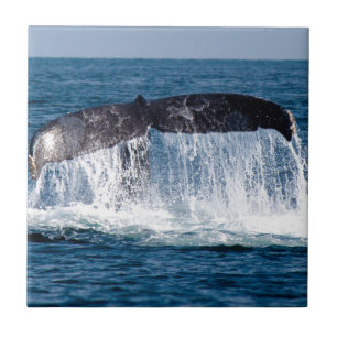 Whale Schwanz Fliese