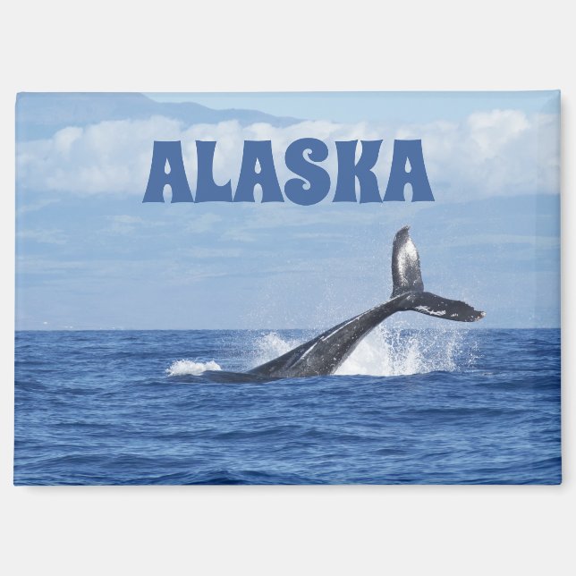 Whale Schwanz Landschaftlich Oceanic Alaska Magnet (Vorderseite)
