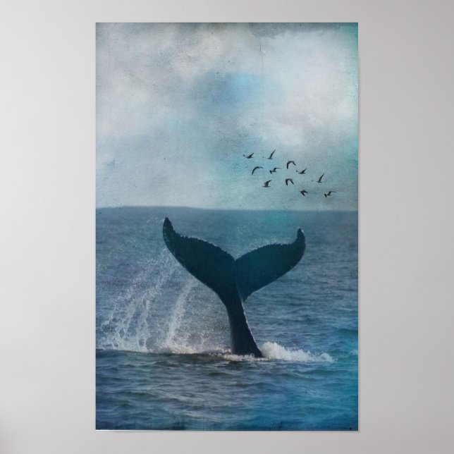 Whale Schwanz Poster (Vorne)