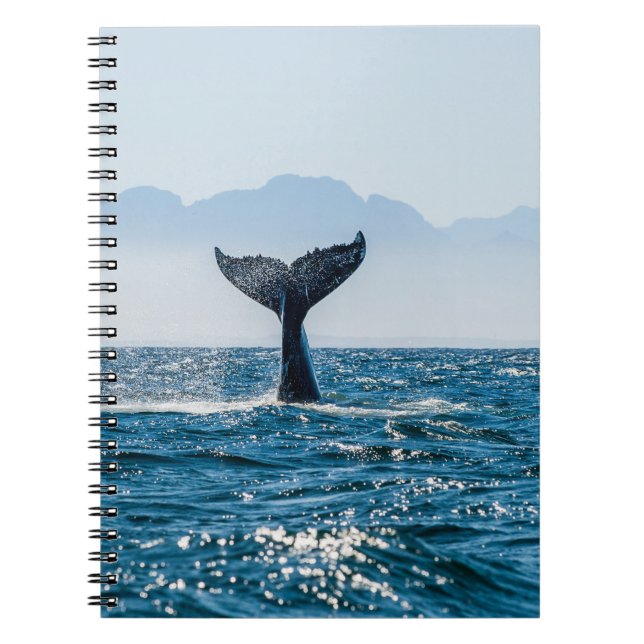 Whale Schwanz Seascape: Dramatisches Wasser. Notizblock (Vorderseite)