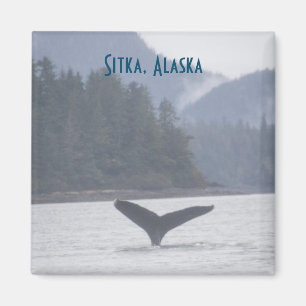 Whale Schwanz Sitka Alaska Magnet