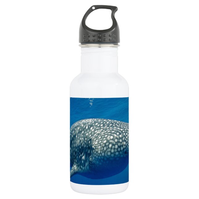 Whale Shark Edelstahlflasche (Vorderseite)