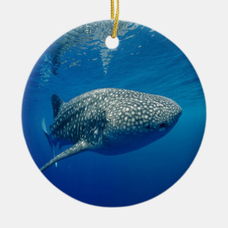 Whale Shark Keramikornament