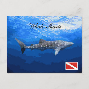 Whale Shark Postcard Postkarte