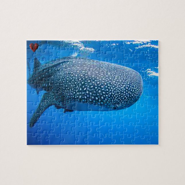 Whale Shark Puzzle (Horizontal)