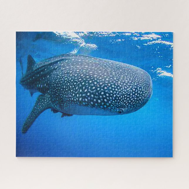Whale Sharks Puzzle (Horizontal)