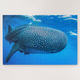 Whale Sharks Puzzle