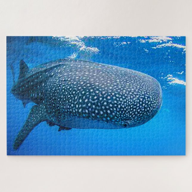 Whale Sharks Puzzle (Horizontal)