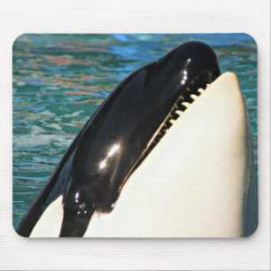 Whale Sprichwort Hello Mousepad