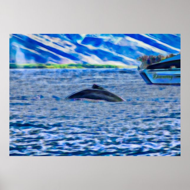 Whale Watching Boat Blue Ocean Poster (Vorne)
