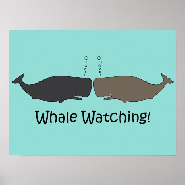 Whale Watching Fun Poster (Vorne)