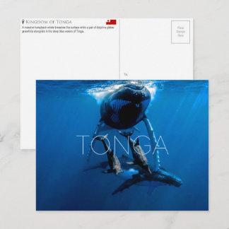 Whale watching, Tonga Travel Postcard Postkarte