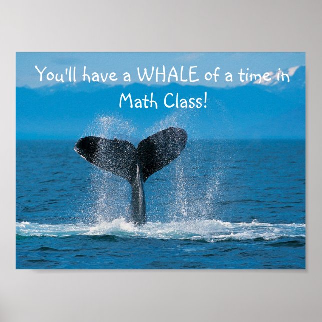 WhaleMath Poster (Vorne)