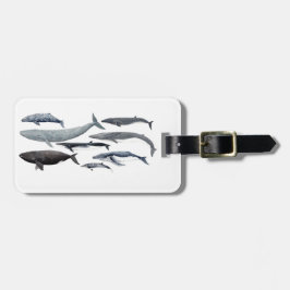 Whales and right whales gepäckanhänger