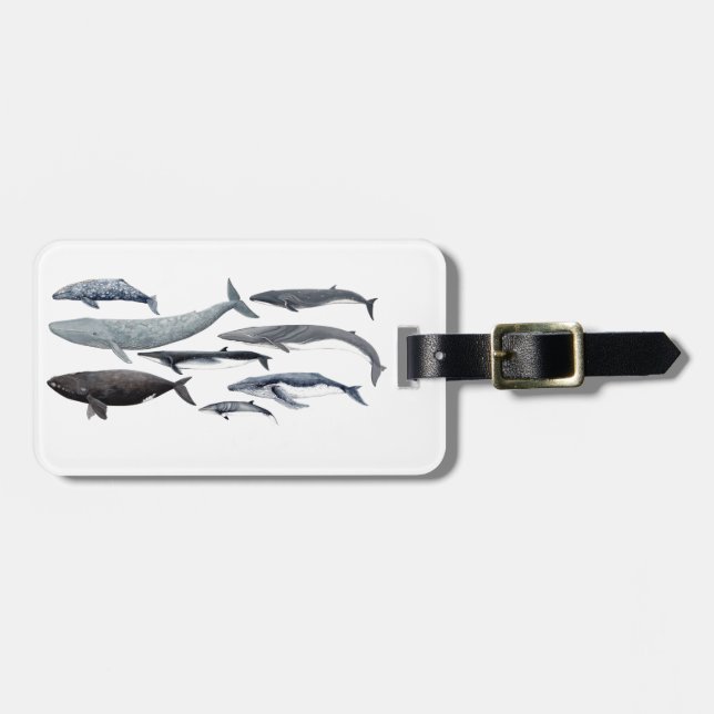 Whales and right whales gepäckanhänger (Vorderseite horizontal)