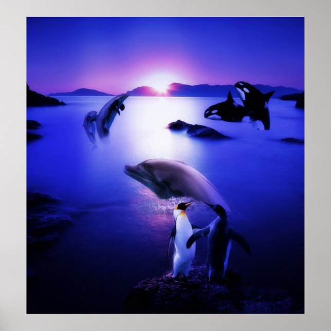 Whales-Delphine-Pinguine Poster (Vorne)