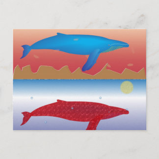 Whales Postcard Postkarte