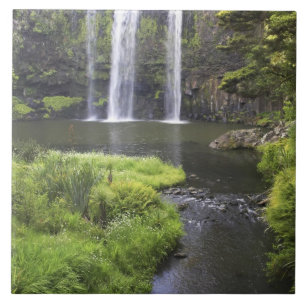 Whangarei Falls, Whangarei, Northland, Neuseeland  Fliese