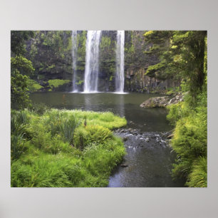 Whangarei Falls, Whangarei, Northland, Neuseeland  Poster