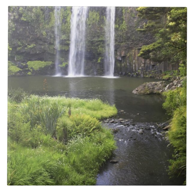 Whangarei Falls, Whangarei, Northland, New 2 Fliese (Vorderseite)