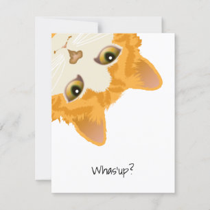 Whas up Orange Upside Down Cat Einladung