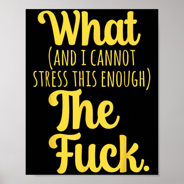 What And I Cannot Stress This Enough The F Funny S Poster (Vorne)