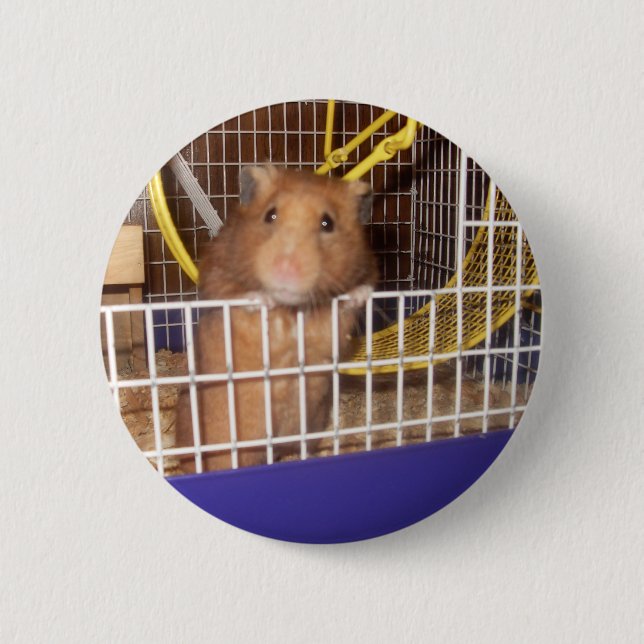 whatca lookin an button (Vorderseite)