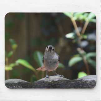 Whatcha Doin Mousepad