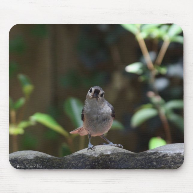 Whatcha Doin Mousepad (Vorne)