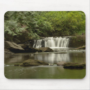 Whatcom Falls Park Mousepad