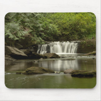 Whatcom Falls Park Mousepad