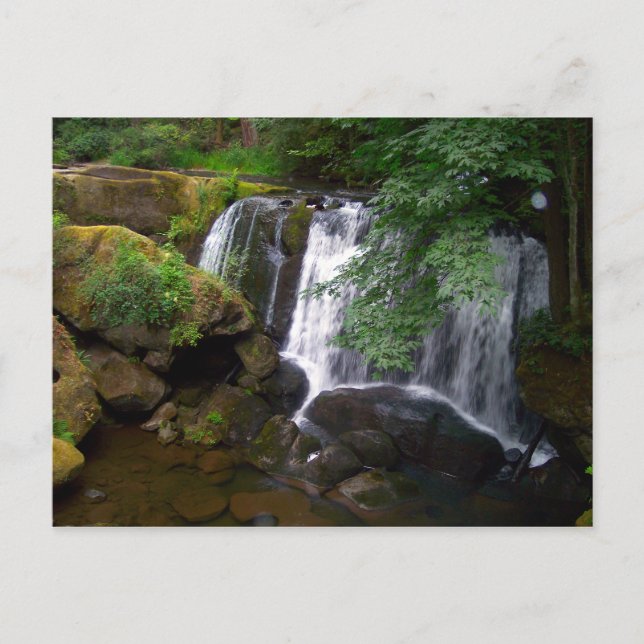 Whatcom Falls Postkarte (Vorderseite)