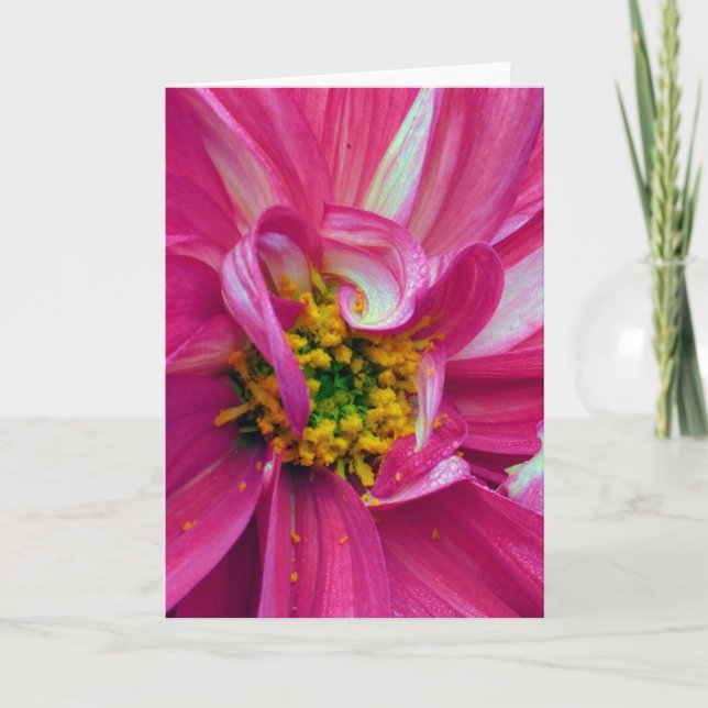 What's in the Frames? 4 Karte (Vorderseite)