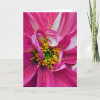 What's in the Frames? 4 Karte