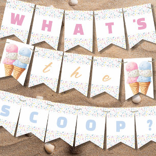 Whats The Scoop Eiscreme-Geschlecht- Enthüllungsfe Wimpelkette