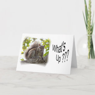WhatsUp_notecard Karte