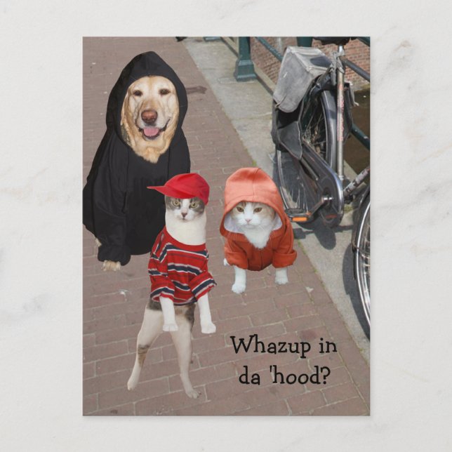 Whazup in da 'hood? postkarte (Vorderseite)
