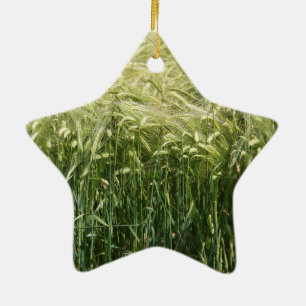 Wheat - Beautiful! Keramikornament