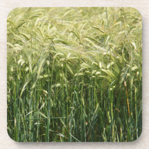 Wheat - Beautiful! Untersetzer
